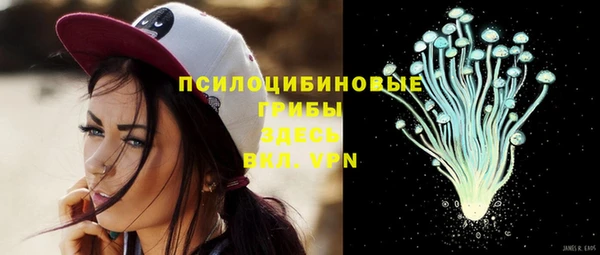 гидропоника Каменногорск