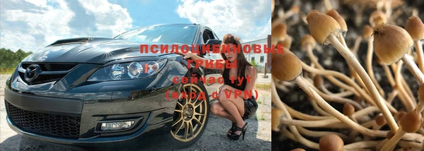 гидропоника Каменногорск